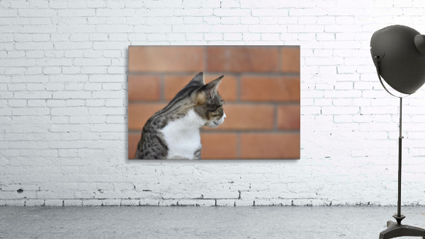 Tiny - who you Wall Preview
