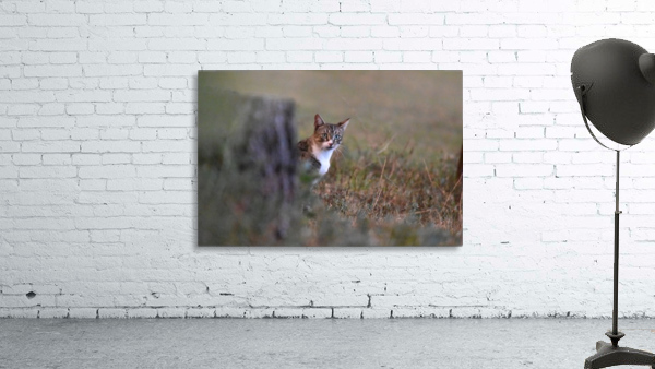 Tiny - see you ... Wall Preview
