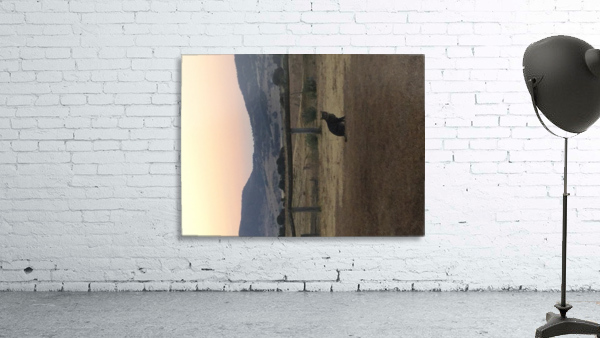 Tiny - highlighted Wall Preview