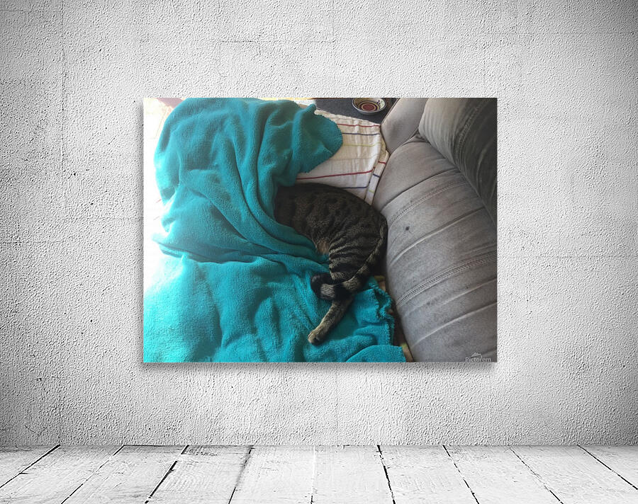 Gizmo - need darkness Wall Preview