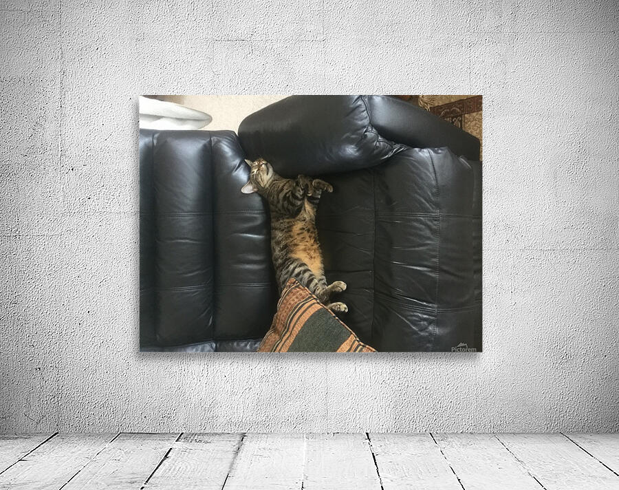 Gizmo - headrest Wall Preview