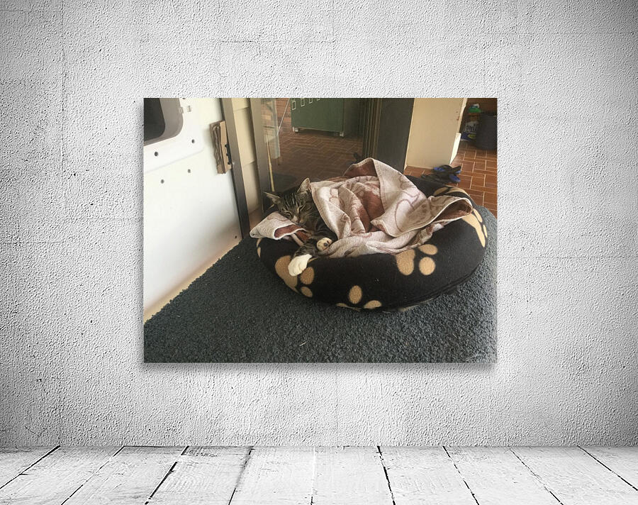 Tiny - love my bed Wall Preview