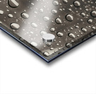 Rain Drops Acrylic print
