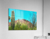 ARTISTIC EXPRESSION 07 Acrylic Print