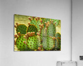 ARTISTIC EXPRESSION 06 Acrylic Print