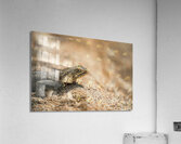 ARTISTIC EXPRESSION 16 Acrylic Print