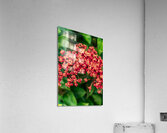 ARTISTIC EXPRESSION 26 Acrylic Print