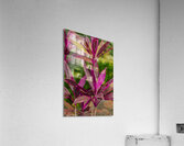 ARTISTIC EXPRESSION 27 Acrylic Print