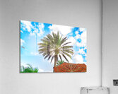 ARTISTIC EXPRESSION 28 Acrylic Print