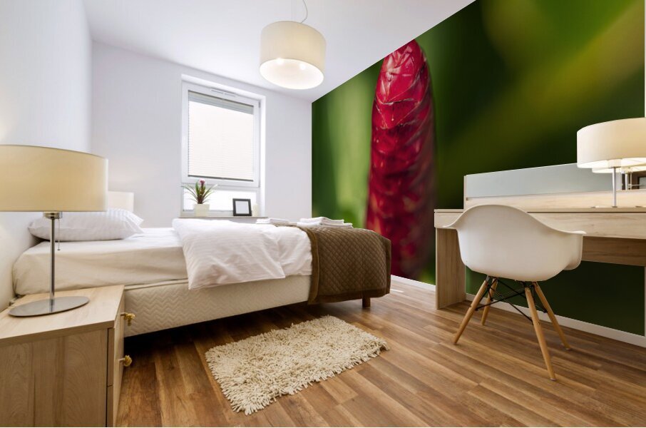 ARTISTIC EXPRESSION 23 Mural print