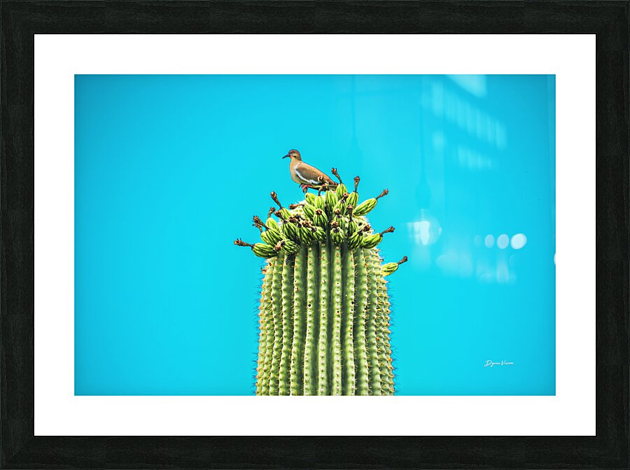 Run Away Cactus Picture Frame print