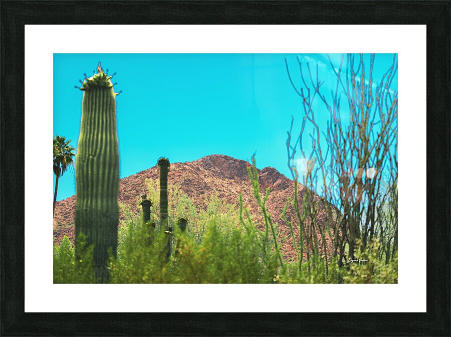 ARTISTIC EXPRESSION 07 Picture Frame print
