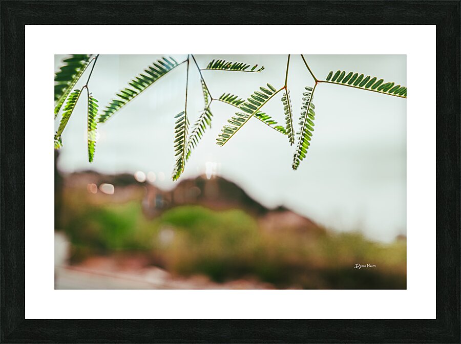 What Shade Picture Frame print