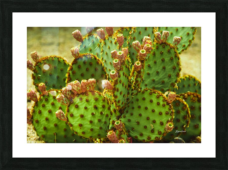 ARTISTIC EXPRESSION 06 Picture Frame print
