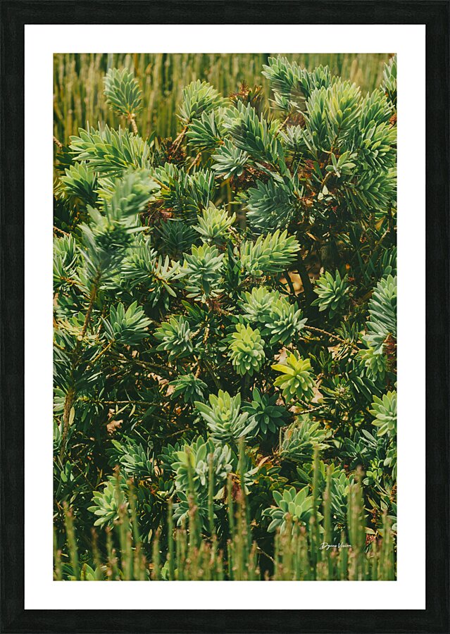 ARTISTIC EXPRESSION 18 Picture Frame print