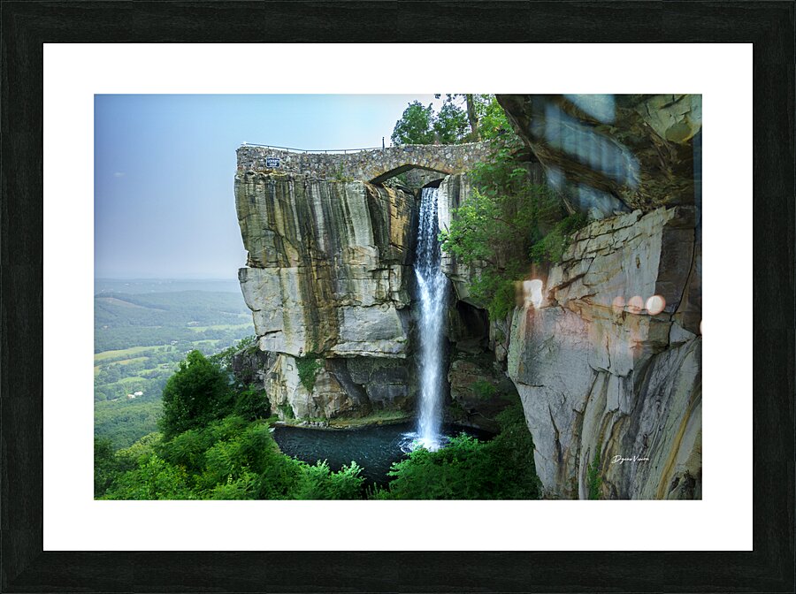 ARTISTIC EXPRESSION 20 Picture Frame print
