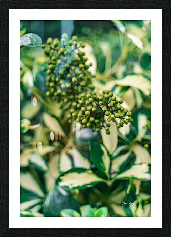ARTISTIC EXPRESSION 25 Picture Frame print