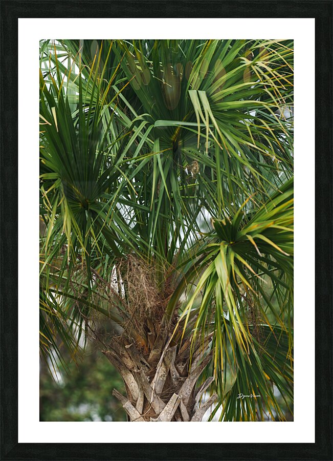 ARTISTIC EXPRESSION 29 Picture Frame print