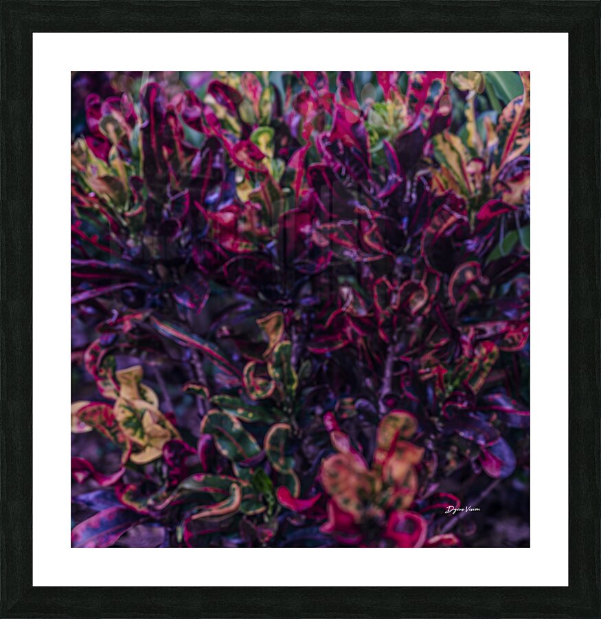 ARTISTIC EXPRESSION 24 Picture Frame print