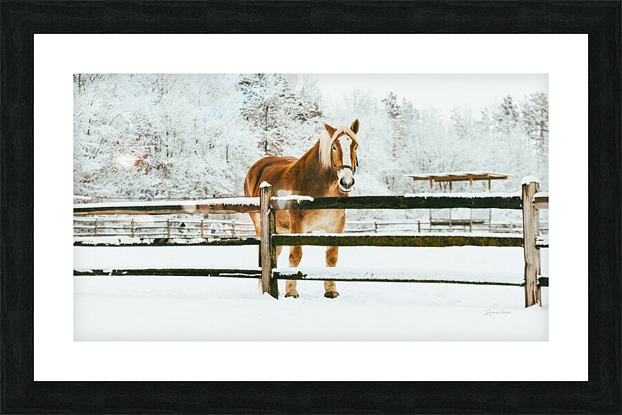 ARTISTIC EXPRESSION 30 Picture Frame print