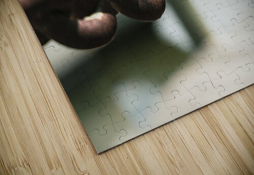 ARTISTIC EXPRESSION 10 Eric Dycus puzzle