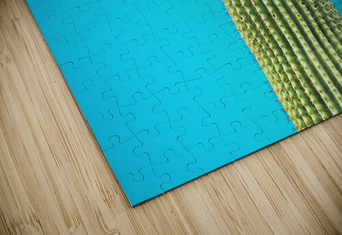 Run Away Cactus Eric Dycus puzzle