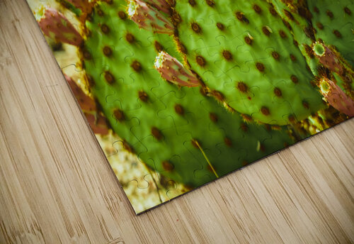 ARTISTIC EXPRESSION 06 Eric Dycus puzzle