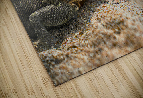 ARTISTIC EXPRESSION 16 Eric Dycus puzzle