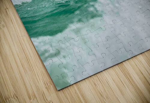 ARTISTIC EXPRESSION 14 Eric Dycus puzzle