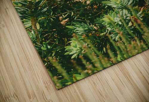 ARTISTIC EXPRESSION 18 Eric Dycus puzzle