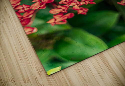 ARTISTIC EXPRESSION 26 Eric Dycus puzzle
