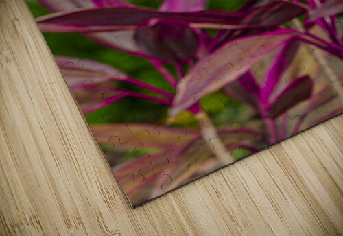 ARTISTIC EXPRESSION 27 Eric Dycus puzzle