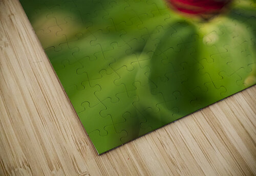 ARTISTIC EXPRESSION 23 Eric Dycus puzzle