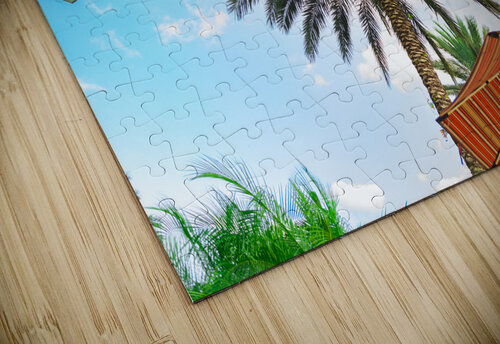 ARTISTIC EXPRESSION 28 Eric Dycus puzzle