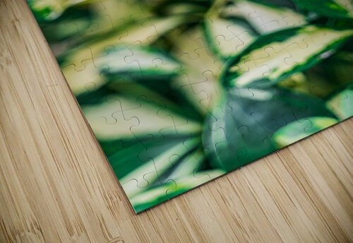 ARTISTIC EXPRESSION 25 Eric Dycus puzzle