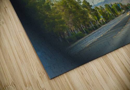 ARTISTIC EXPRESSION 33 Eric Dycus puzzle