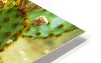 ARTISTIC EXPRESSION 06 HD Metal print