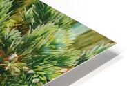 ARTISTIC EXPRESSION 18 HD Metal print