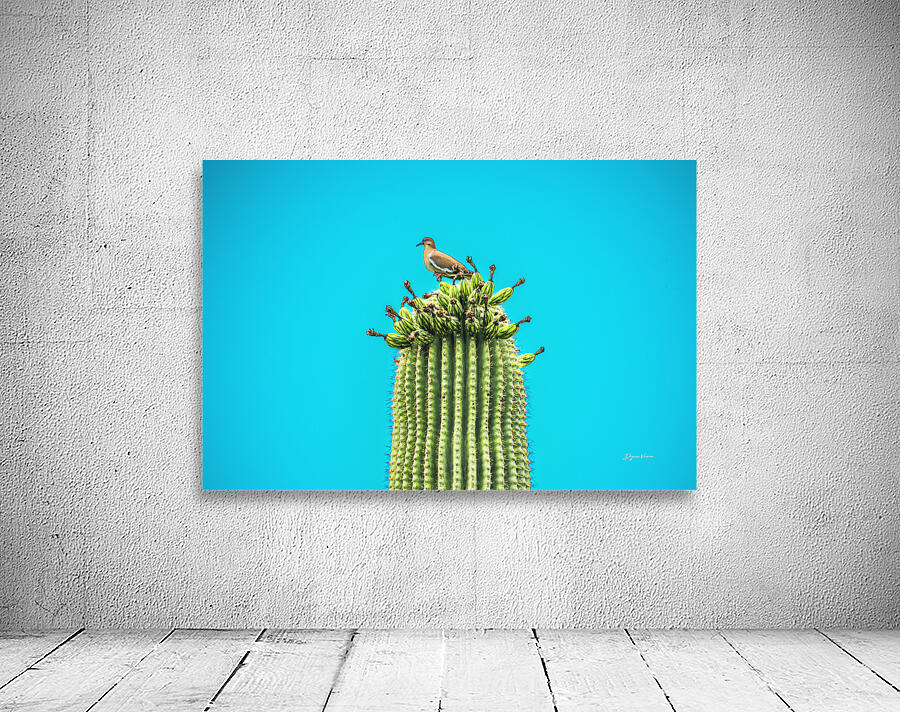 Run Away Cactus Wall Preview