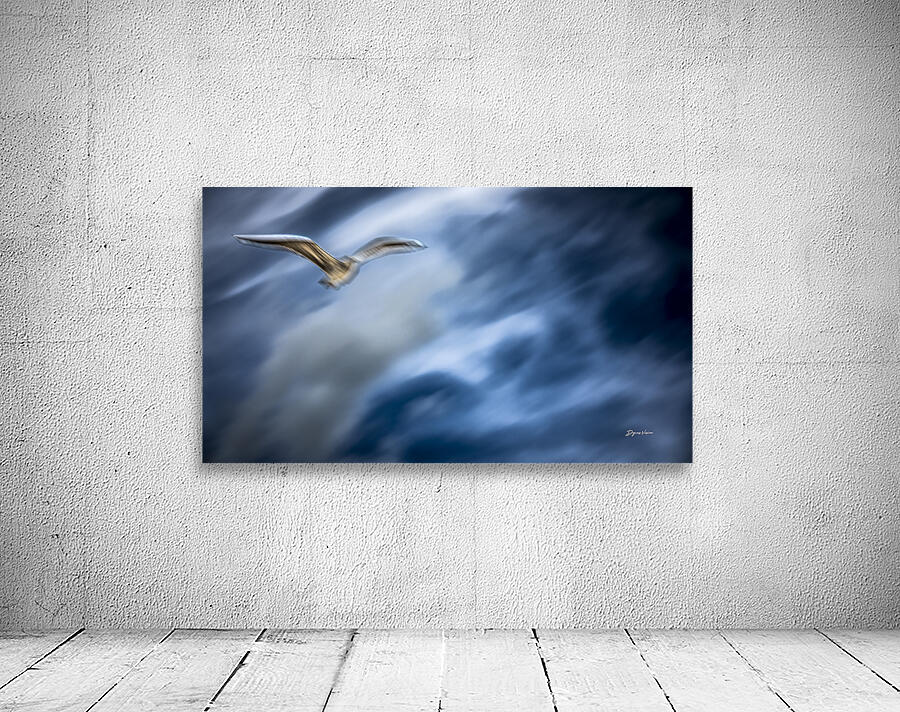 ARTISTIC EXPRESSION 13 Wall Preview