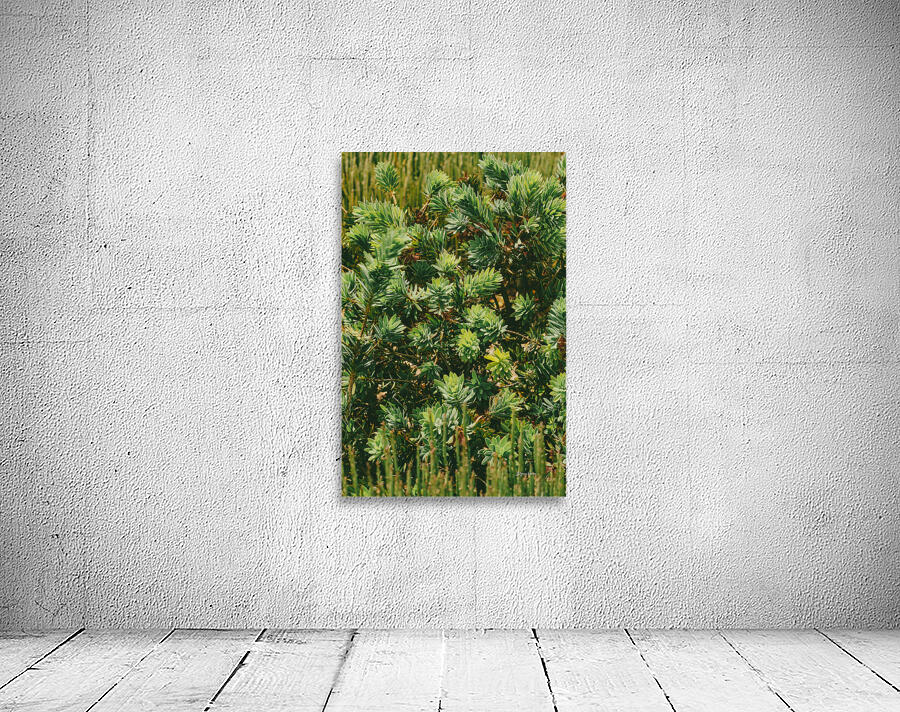 ARTISTIC EXPRESSION 18 Wall Preview