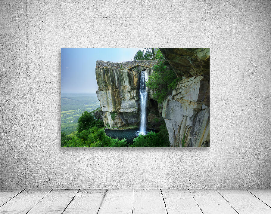 ARTISTIC EXPRESSION 20 Wall Preview