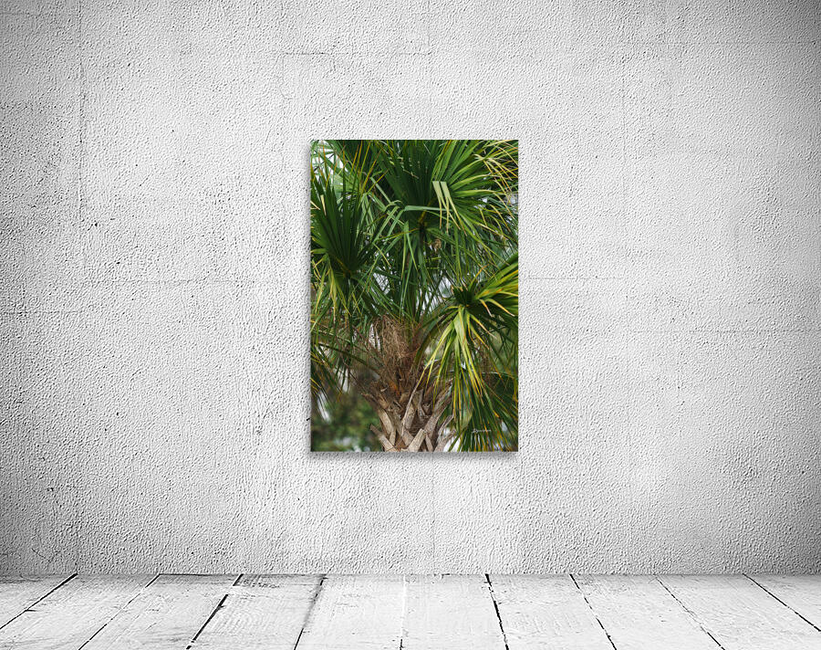 ARTISTIC EXPRESSION 29 Wall Preview