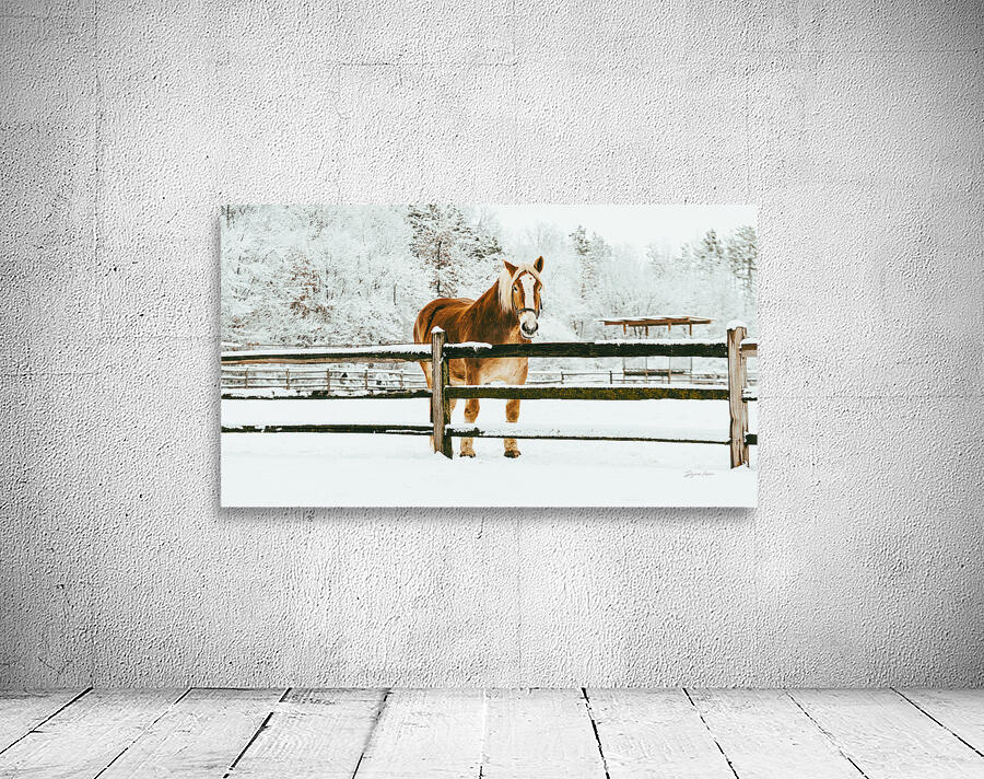 ARTISTIC EXPRESSION 30 Wall Preview
