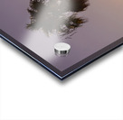 Sunset palms Acrylic print