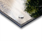 Grapevines Acrylic print