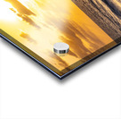  Sun Glow Acrylic print