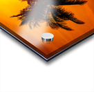 Red Palms Acrylic print