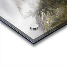 Through the Trees Acrylic print