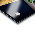 Pasta Twist  Acrylic print